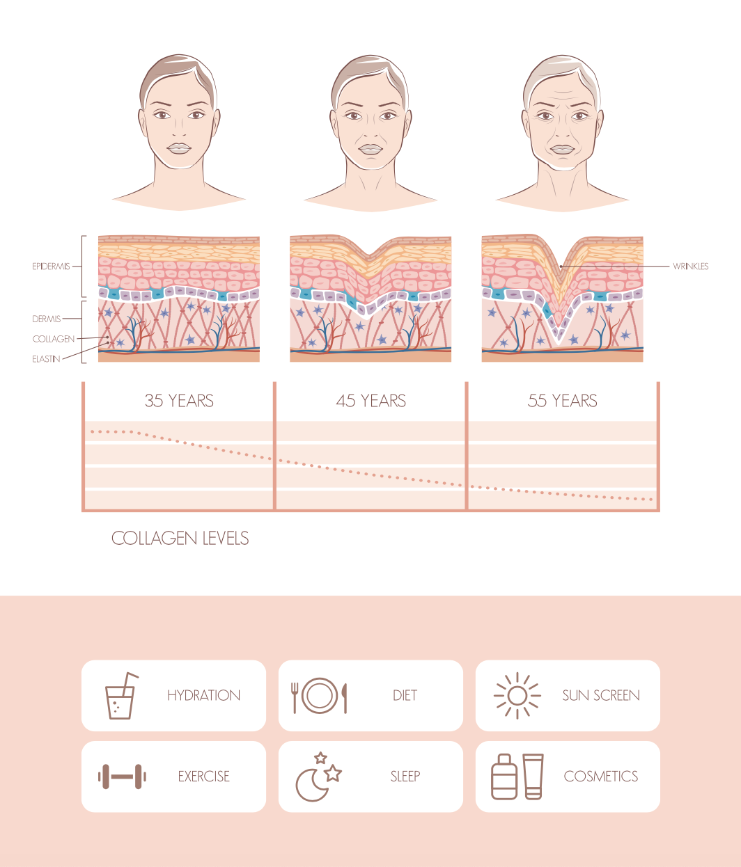 The Truth About Skin Aging